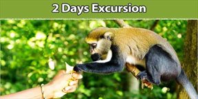 Examine these 2-day excursions