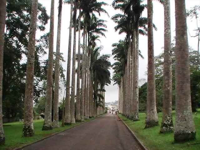 https://www.easytrackghana.com/images/photos2/mobile/The%20beautiful%20lane%20into%20the%20gardens.jpg