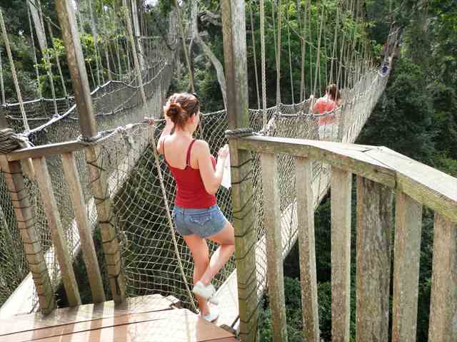 Rainforest canopy walkway at Kakum National Park in Ghana