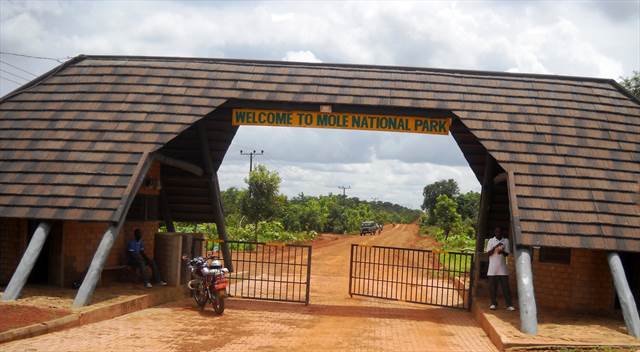 https://www.easytrackghana.com/images/photos2/mobile/mole-park-entrance.jpg