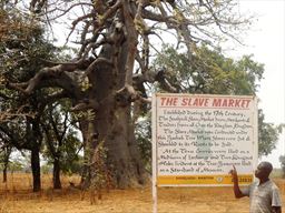 Chuku at the Saakpuli baobab tree