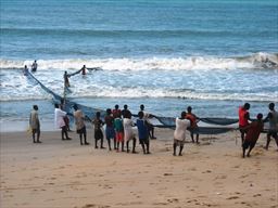 Dragging out fish net in Ghana