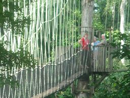 Kakum walkway