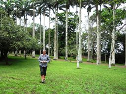 Aburi Gardens in Ghana