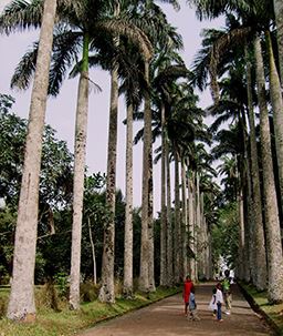 Aburi gardens