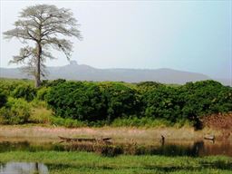 looking at Nkawkaw from Kwahu