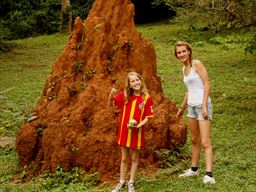 Guests standing by anthill