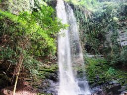 Scenic location at Asenema Falls