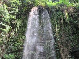 Asenema Falls