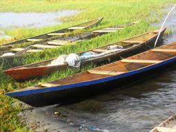 Canoes on shore of Keta lagoon