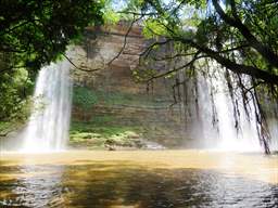 boti falls behind tree