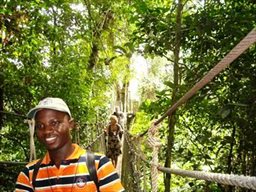 Kakum canopy walkway