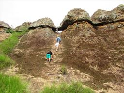 Climbing at Tanoboase Sacred Grove