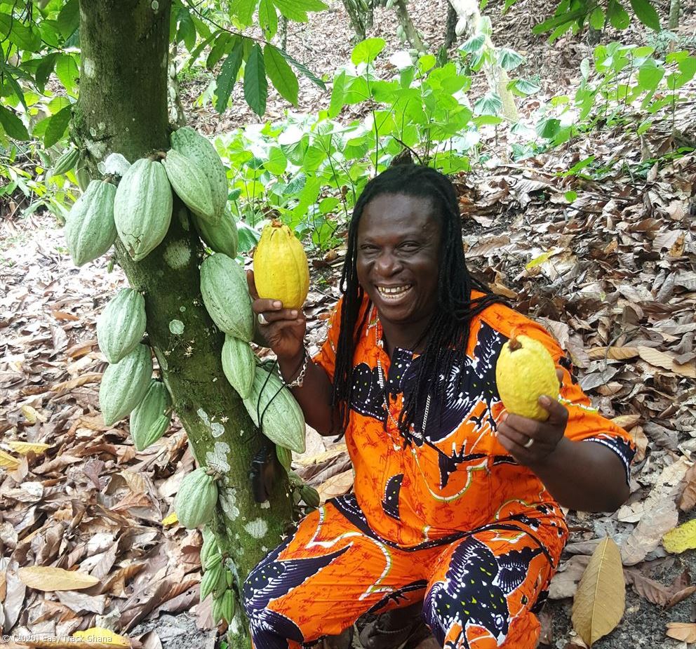 cocoa beans