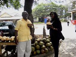 Guest drinking coconut juice