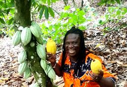 Holding 2 cocoa pods next to cocoa tree