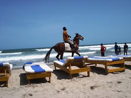 acrobatics display at beach