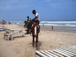 Ghana beach horse riding
