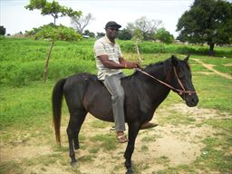 Horseback in Ghana