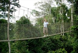 rain forest canopy walkway at Kakum National Park