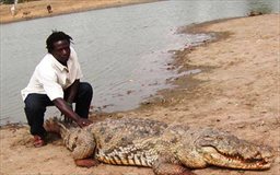 Paga crocodile pond