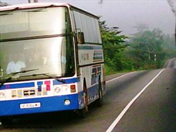 STC bus