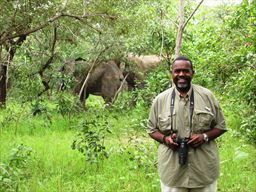 Visitor with elephants in forest